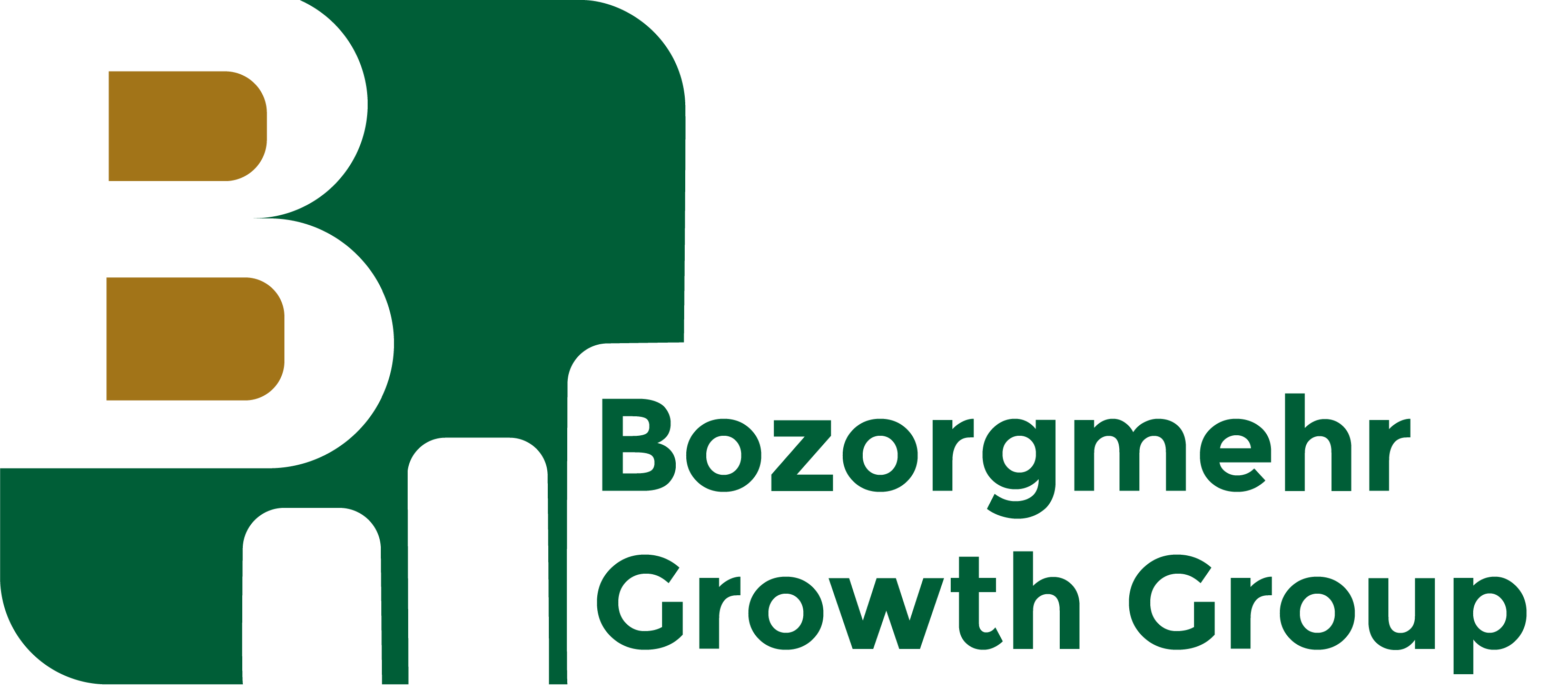 گروه رشد بزرگمهر