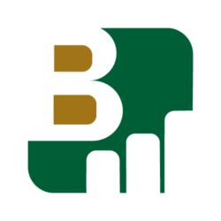 آژانس دیجیتال مارکتینگ و برندینگ در شیراز